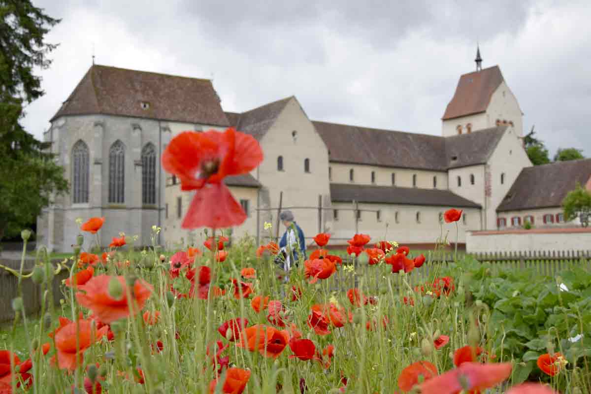 Die Blumen- und Gemüseinsel Reichenau gehört zu den kulturell wichtigsten Orten am Bodensee