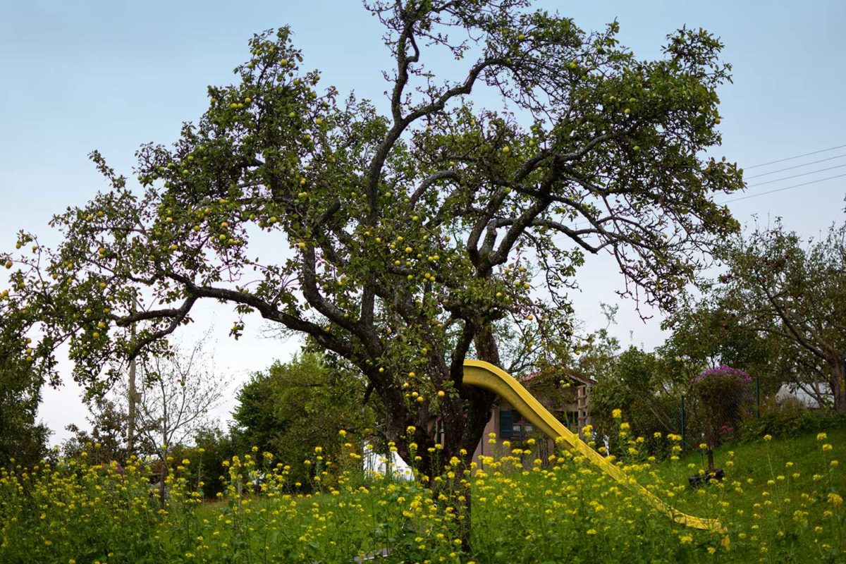 Pfaffenwinkel Apfelbaum mit Rutsche