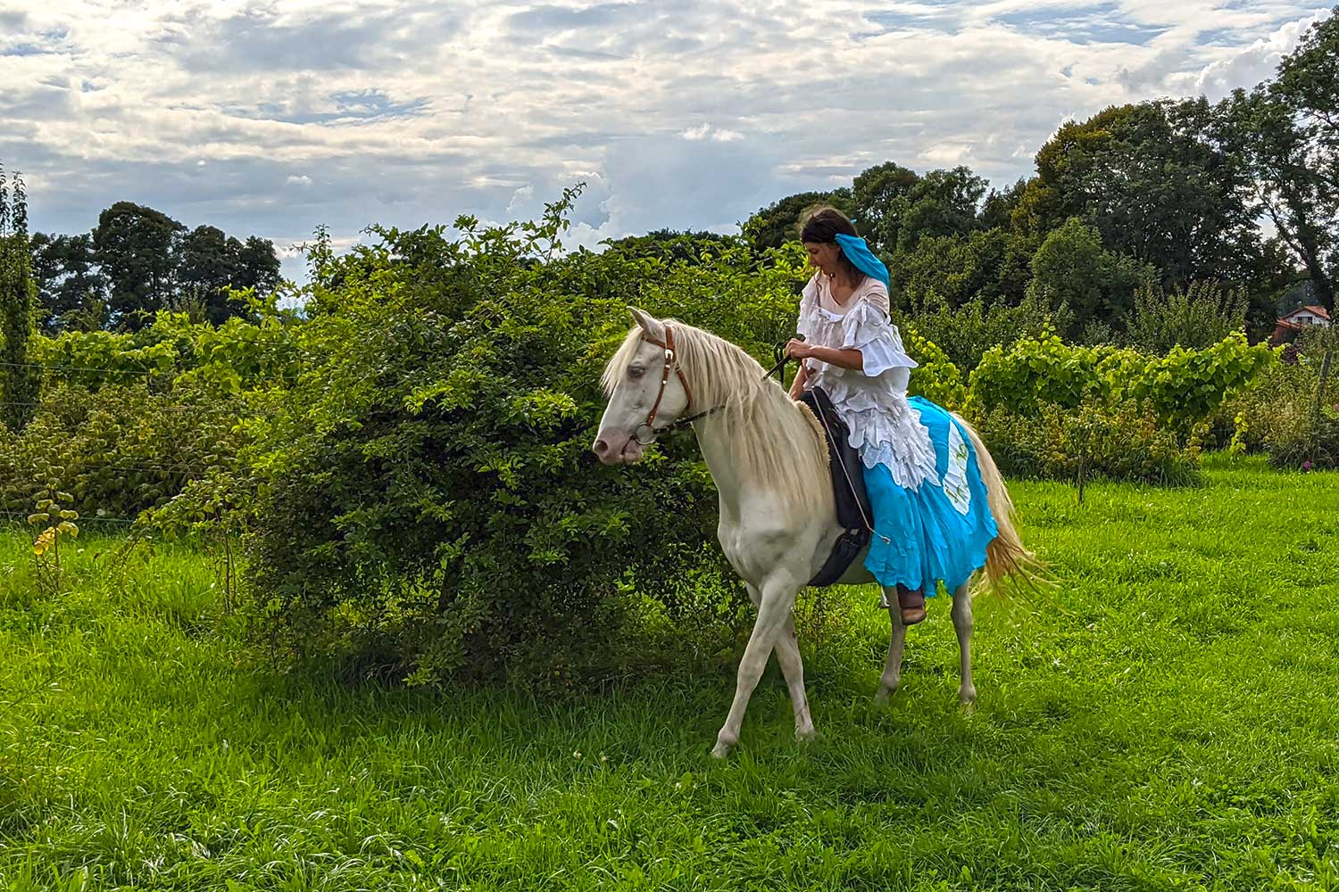 Prinzessin auf Schimmel