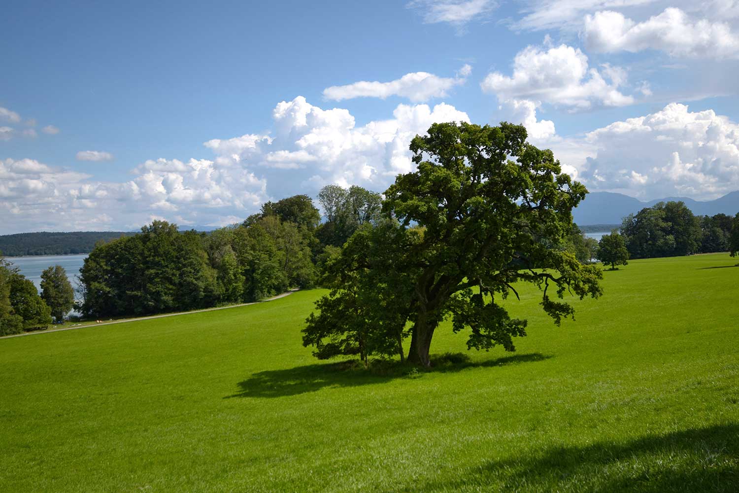 Pfaffenwinkel - Bernrieder Park