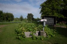 Pfaffenwinkel Gut Dietlhofen