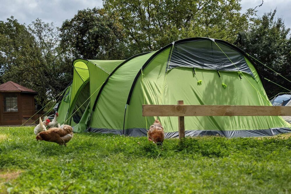 Nerger Sierra 6 Familienzelt auf dem Gitzenweiler Hof