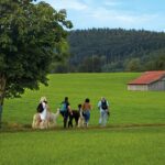 Wandergruppe in Voralpenlandschaft