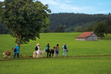 Wandergruppe in Voralpenlandschaft