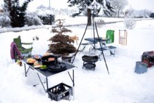 Wintergrillen Szenario