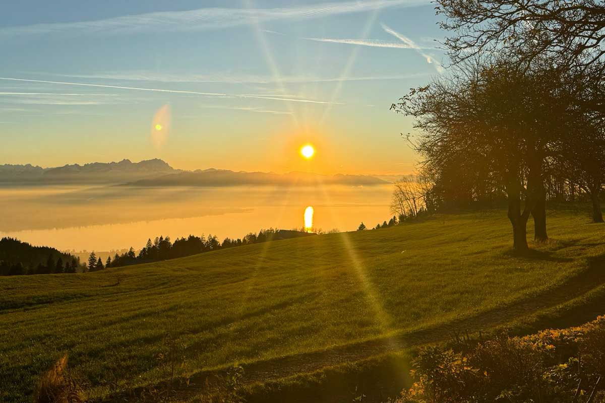 Blick auf die Bregenzer Bucht