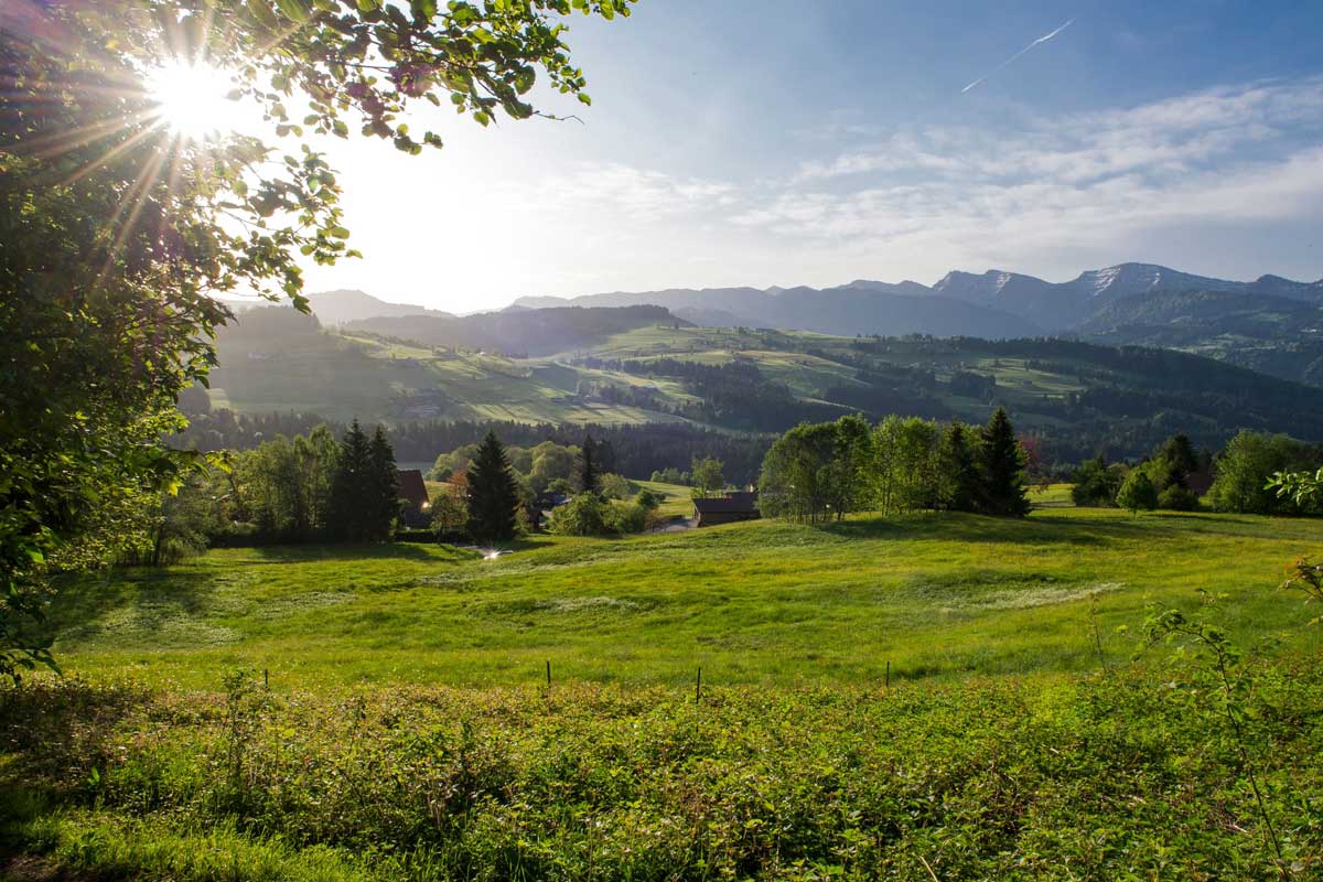 Allgäu Oberschwaben Landschaft