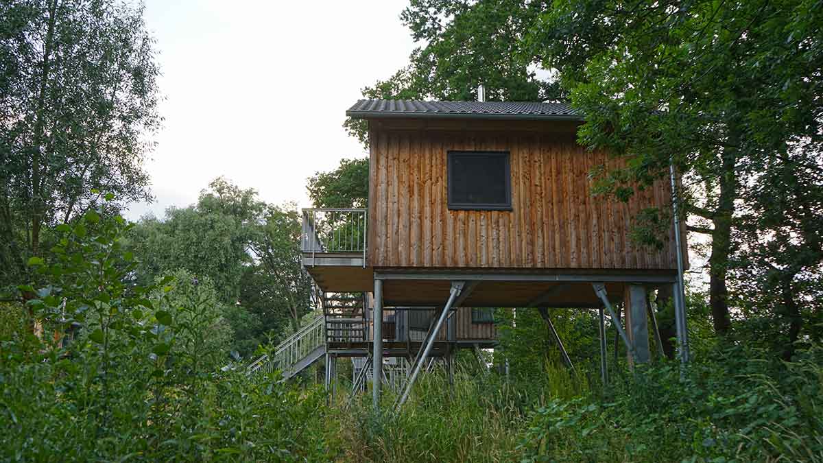 Baumhäuser im Wald