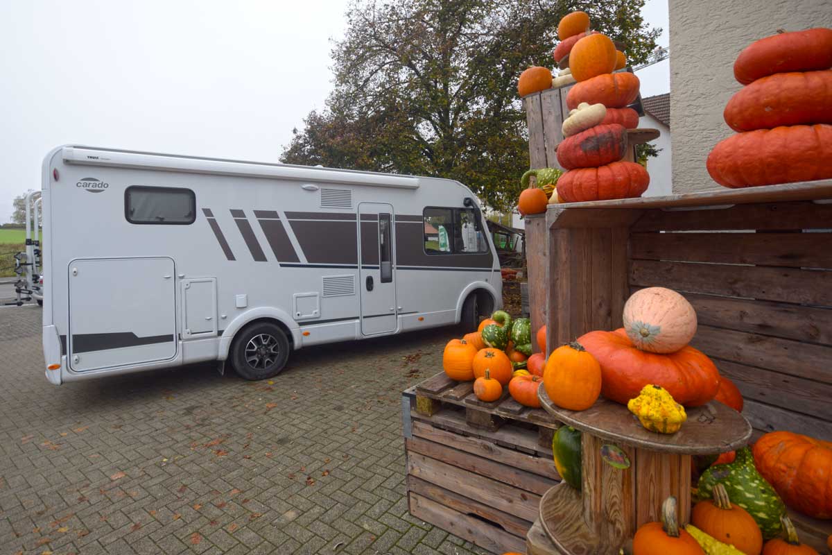 Carado I338 neben Kürbissen