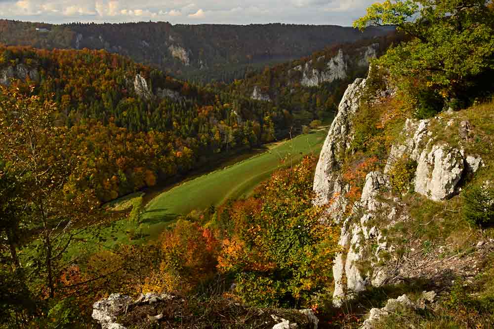 Blick von der Donaufelsen-Tour ins Tal