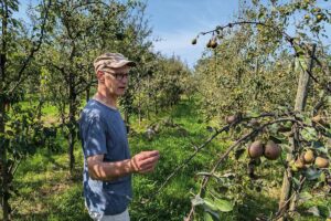 Im reichsten Birnengarten der Welt: Richard Dietrichs einzigartiges Streuobst-Refugium