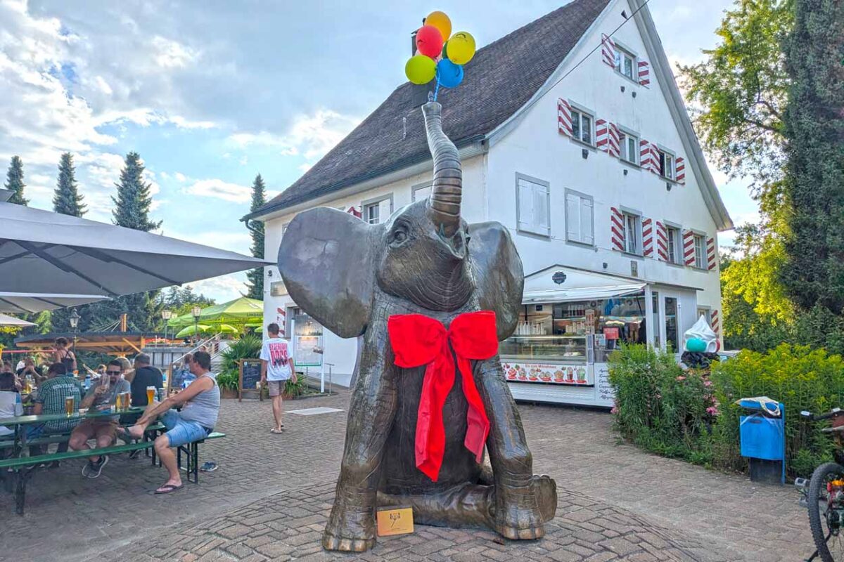 Elefantenplatz auf dem Gitzenweiler Hof zum 30-jährigen Jubiläum von Heidrun Müller