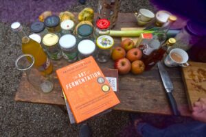 Besuch beim Fermentations-Workshop: Öffne deinen Spirit und dein Kimchi