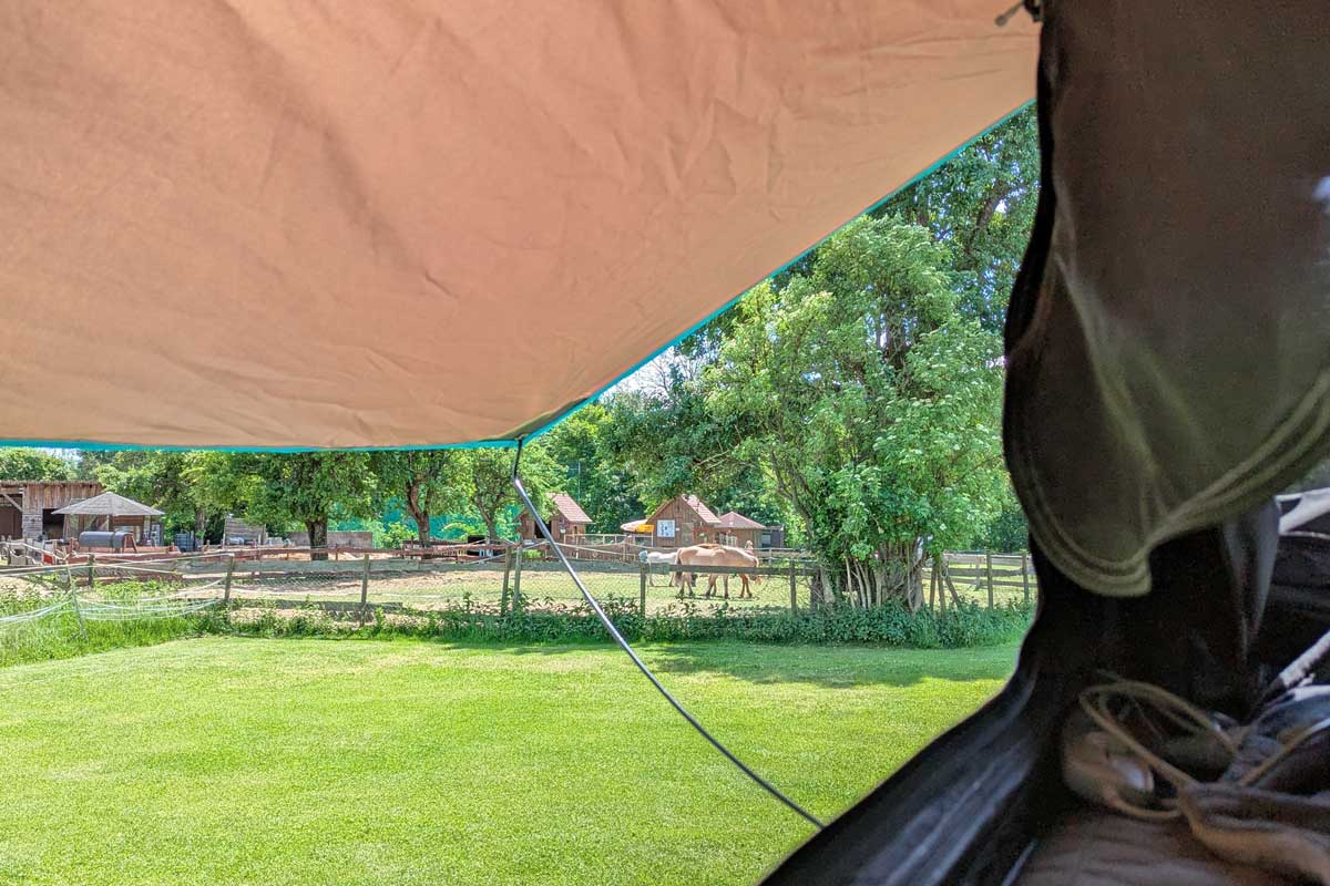 Panoramafenster im Flitzer 1 XL