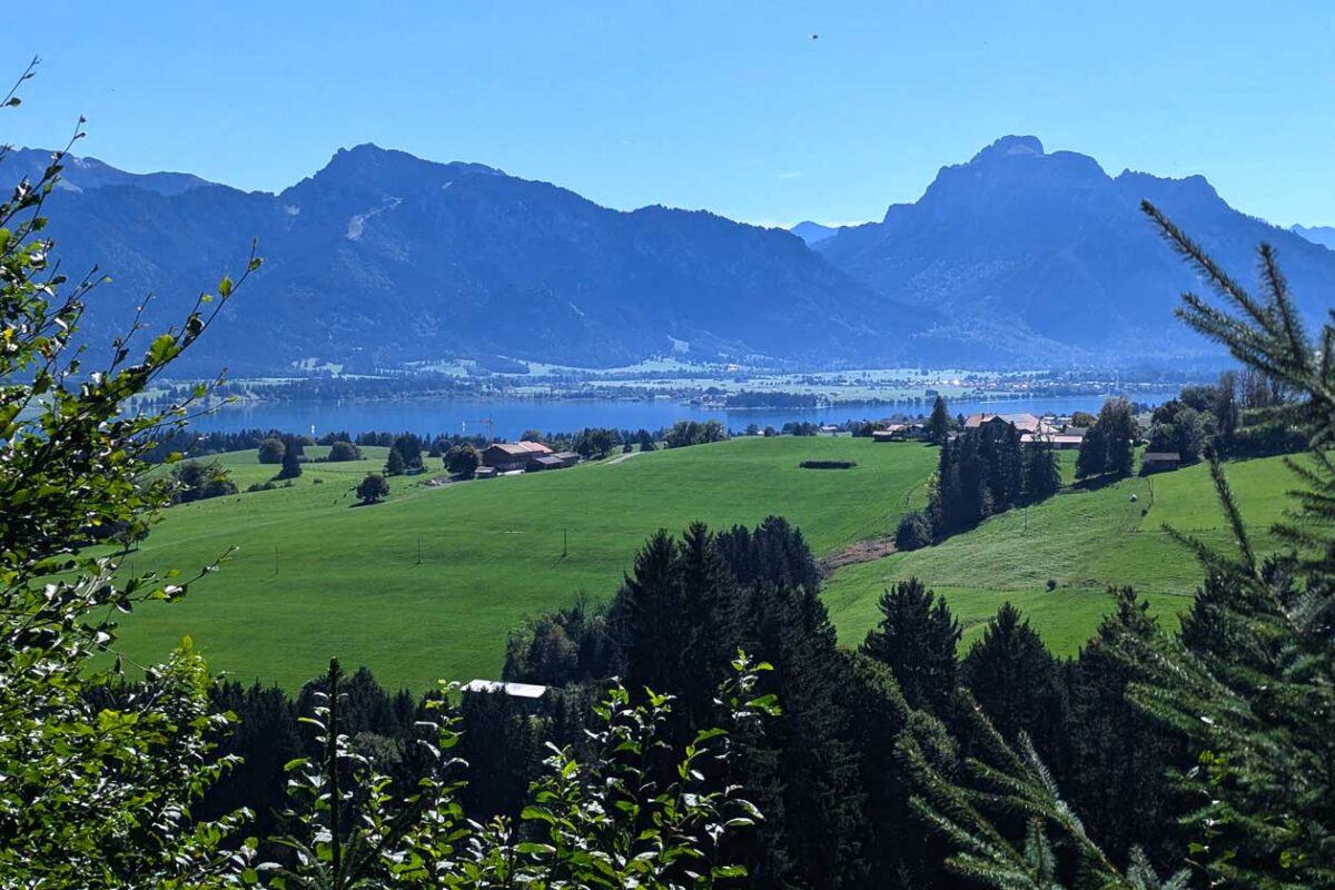 Blick über den Forggensee auf die Allgäuer Alpen