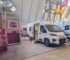 Freedo, die neue Campervan-Marke im Landhausstil
