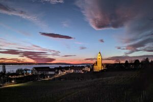 Hagnauer Wein am Bodensee: sonniger Genuss aus vielfältigen Rebstöcken