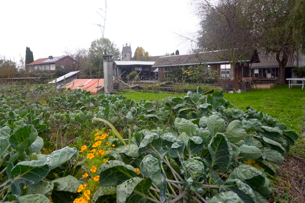 Blick in den Klostergarten Marienberg