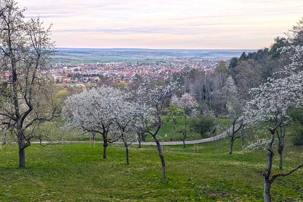 Früchtetrauf mit Streuobstwiese