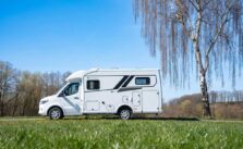 Frankia Neo Cruiser