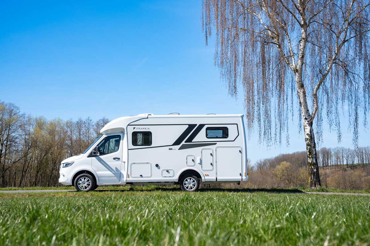 Frankia Neo Cruiser